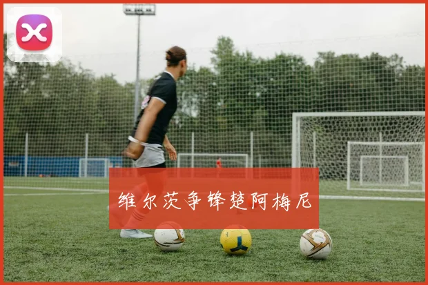 维尔茨争锋楚阿梅尼