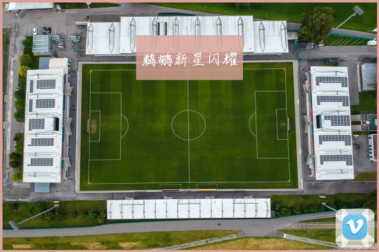 鹈鹕新星闪耀