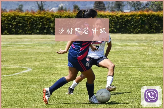 沙特阵容升级