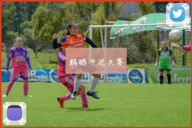鹈鹕冲进决赛