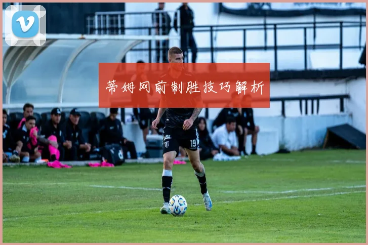 蒂姆网前制胜技巧解析