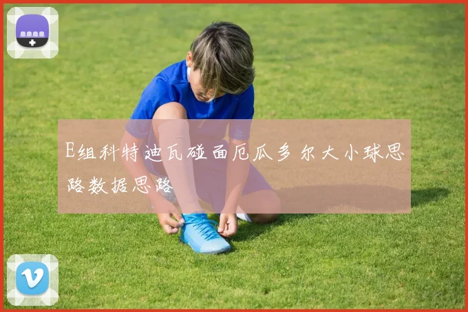E组科特迪瓦碰面厄瓜多尔大小球思路数据思路