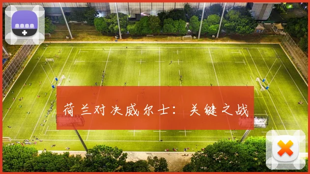 荷兰对决威尔士：关键之战