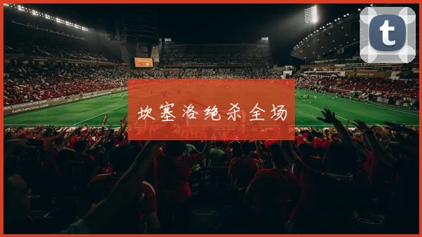 坎塞洛绝杀全场