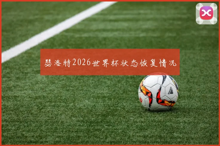 瑟洛特2026世界杯状态恢复情况