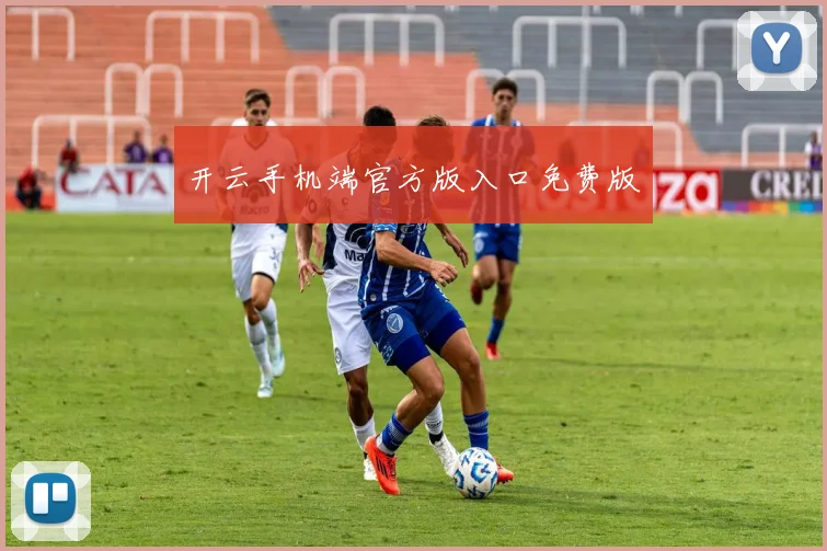 开云手机端官方版入口免费版