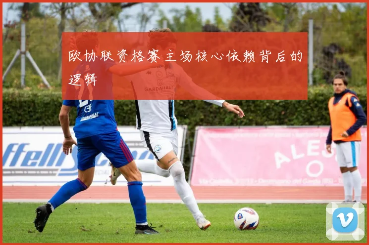 欧协联资格赛主场核心依赖背后的逻辑
