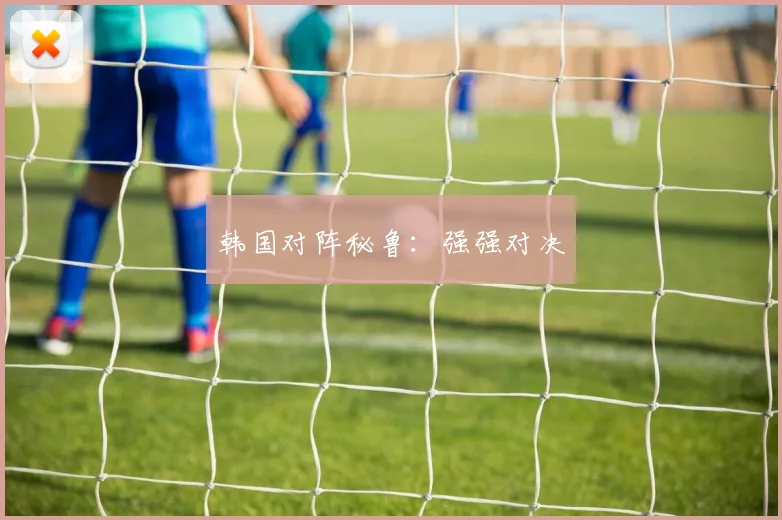 韩国对阵秘鲁：强强对决