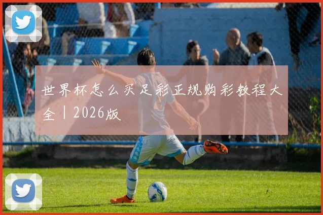 世界杯怎么买足彩正规购彩教程大全｜2026版