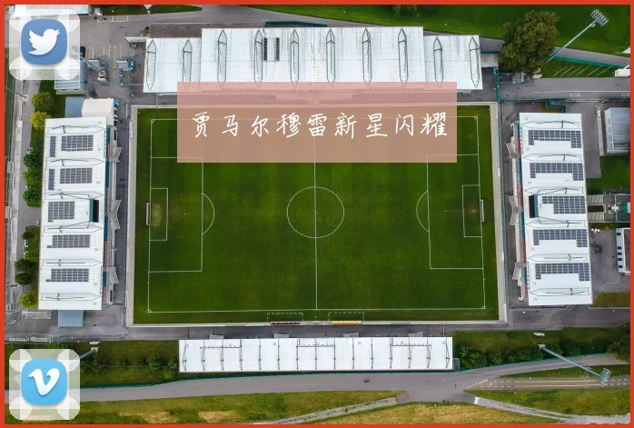 贾马尔穆雷新星闪耀