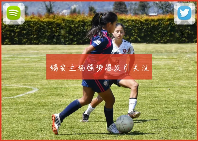 锡安主场强势爆发引关注