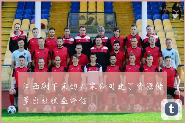 江西剩下来的几家公司进了资源储量出让收益评估