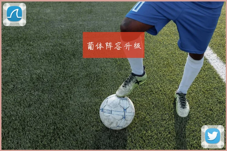葡体阵容升级