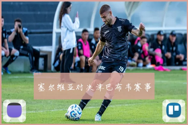 塞尔维亚对决津巴布韦赛事