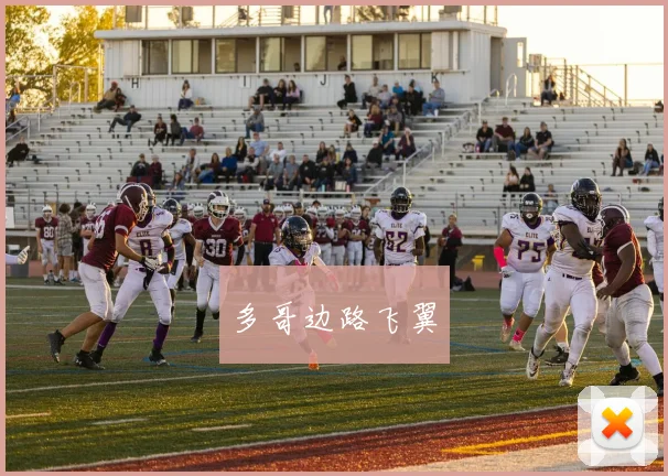 多哥边路飞翼