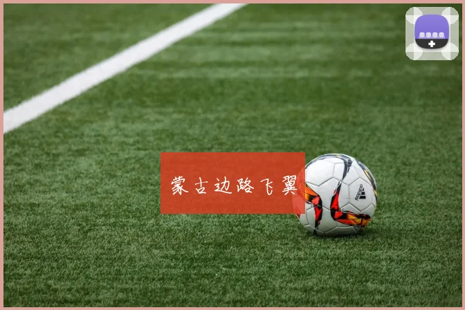 蒙古边路飞翼