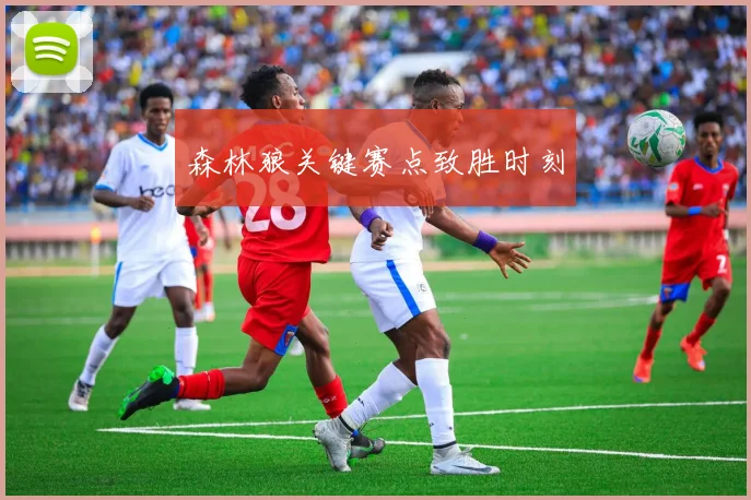 森林狼关键赛点致胜时刻