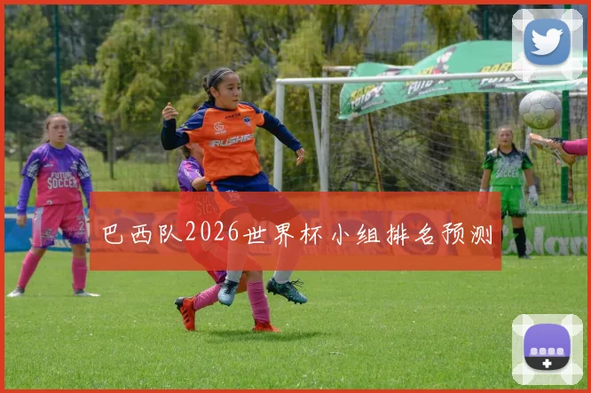 巴西队2026世界杯小组排名预测