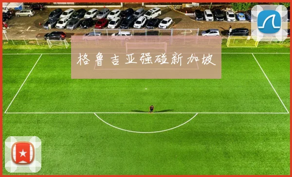 格鲁吉亚强碰新加坡