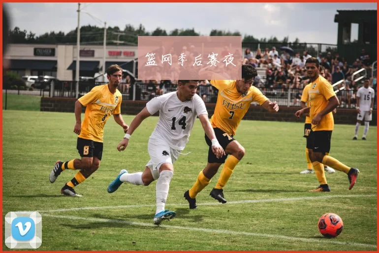 篮网季后赛夜
