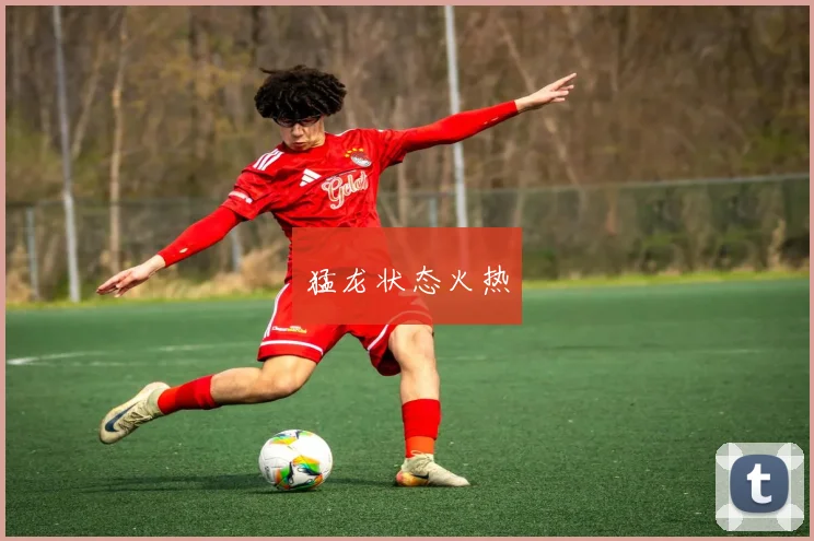 猛龙状态火热