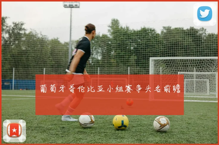 葡萄牙哥伦比亚小组赛争头名前瞻
