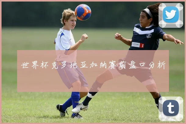 世界杯克罗地亚加纳赛前盘口分析