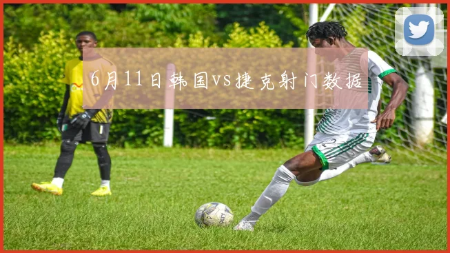 6月11日韩国vs捷克射门数据