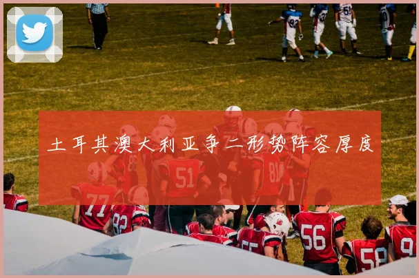 土耳其澳大利亚争二形势阵容厚度