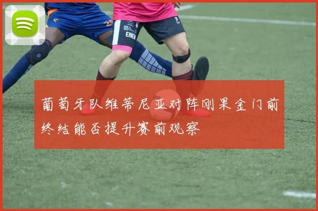 葡萄牙队维蒂尼亚对阵刚果金门前终结能否提升赛前观察